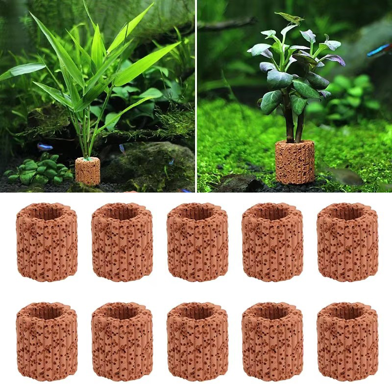 Aquarium Plant Growth - Aquatic Plant Fixed Ring for Aquarium