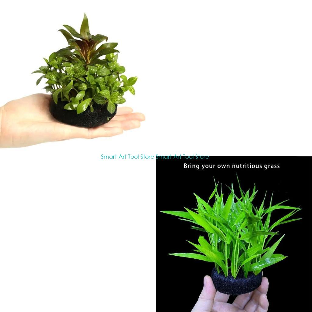 Aquarium Plant Growth - E1PB Nutrient Rich Resin Substrate For