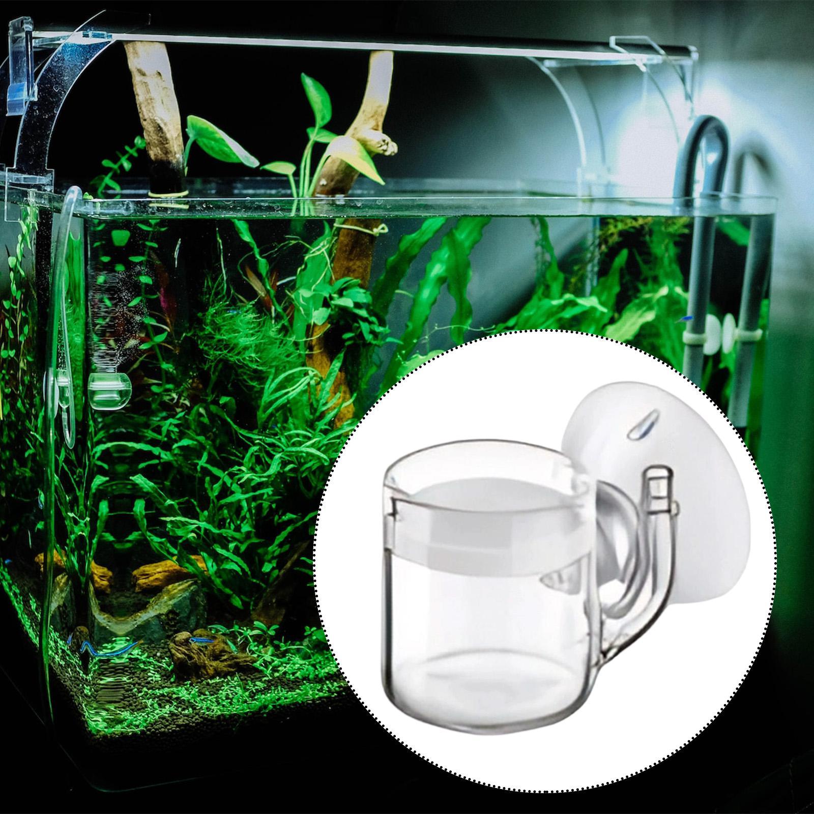 Aquarium Diffuser Glass CO2 Sy - Planted Aquarium Co2 System avis et prix