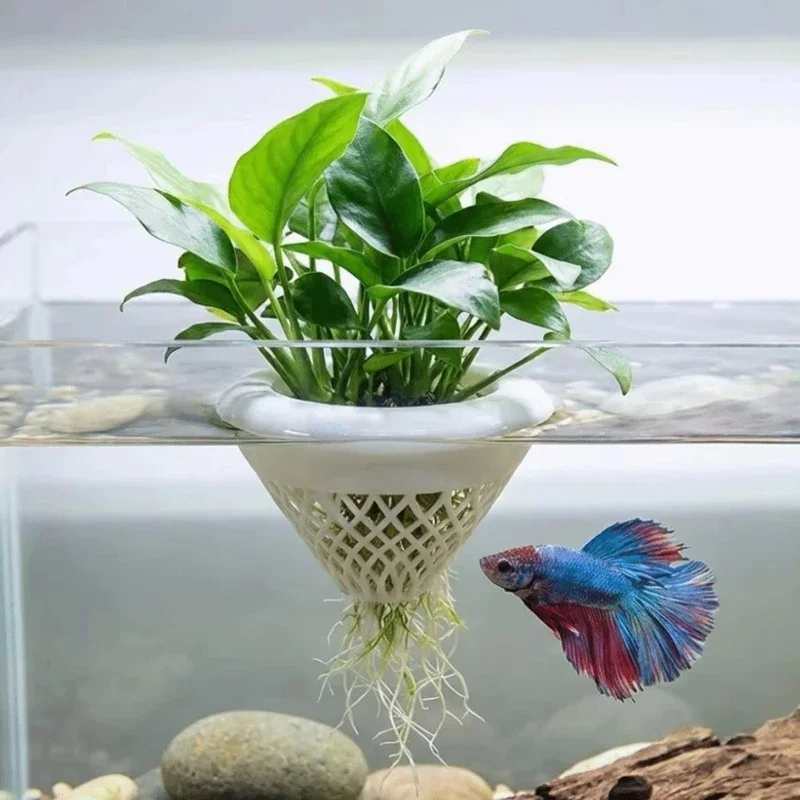 3d Printed Floating Aquarium P - Planted Aquarium Jar avis et prix