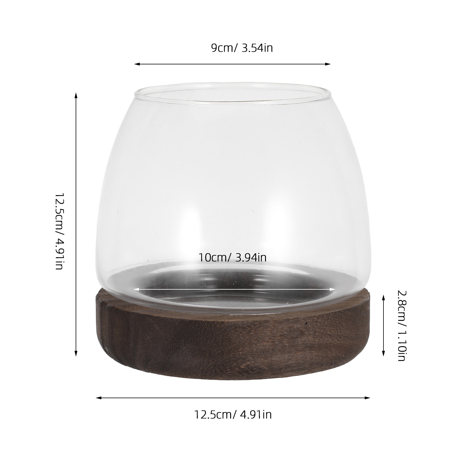 Clear Round Glass Hydroponic P - Planted Aquarium Jar avis et prix