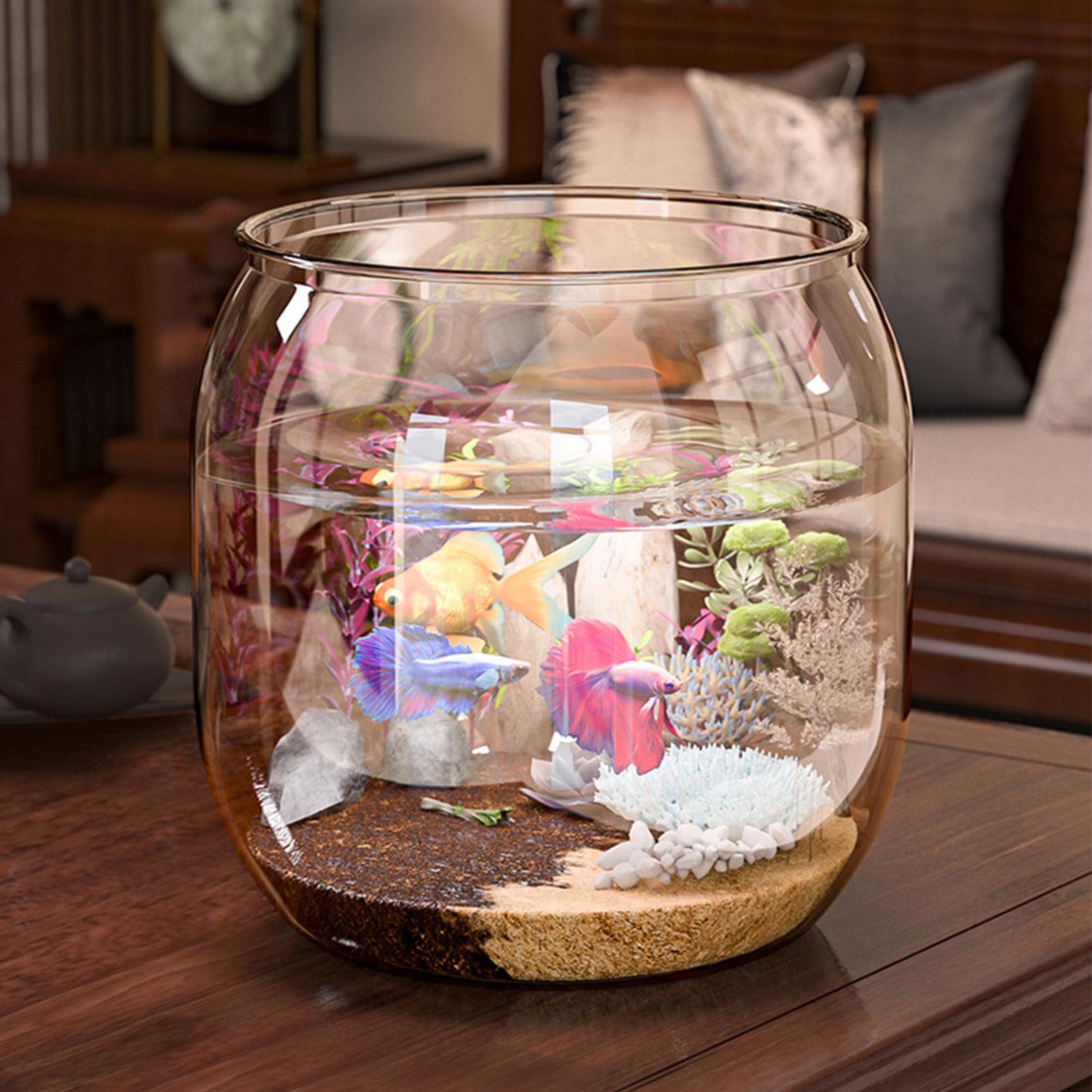Round Fish Bowl Decorative Cle - Planted Aquarium Jar avis et prix