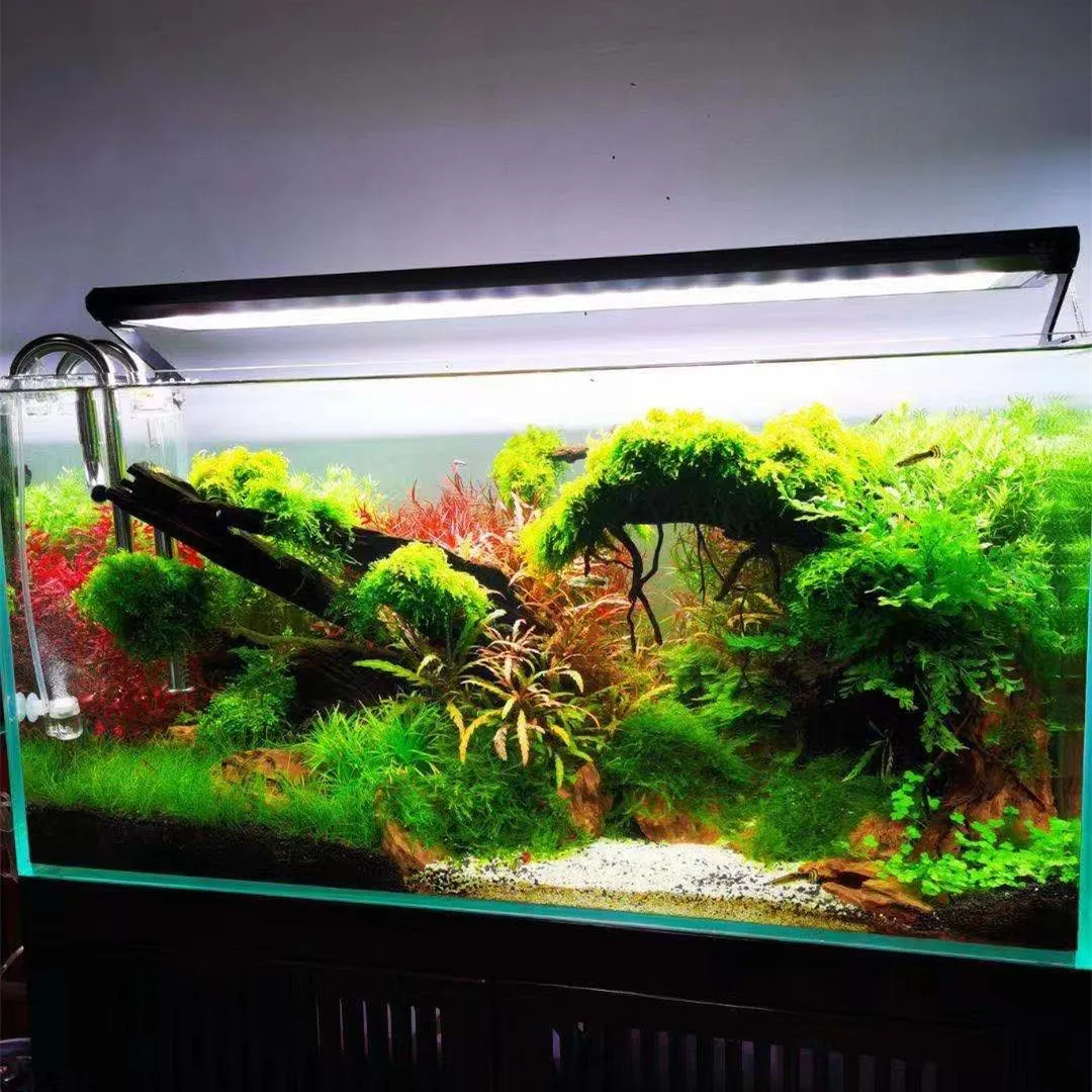 Week Aqua P Series Ver.3 P600  - Aquarium Plant Grow Light avis et prix