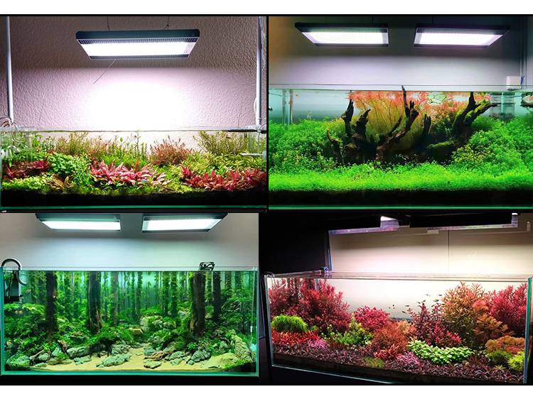 WEEK AQUA A430Pro LED Aquarium - Aquarium Plant Grow Light avis et prix