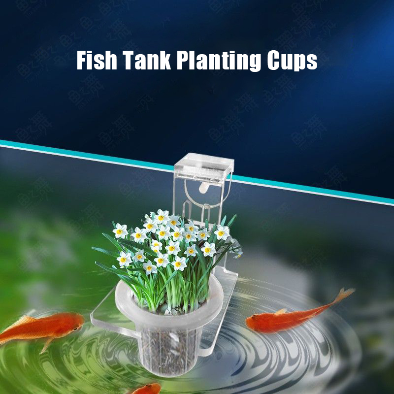 Fish Tank Planting Cups Hydrop - Aquarium Plant Growth avis et prix