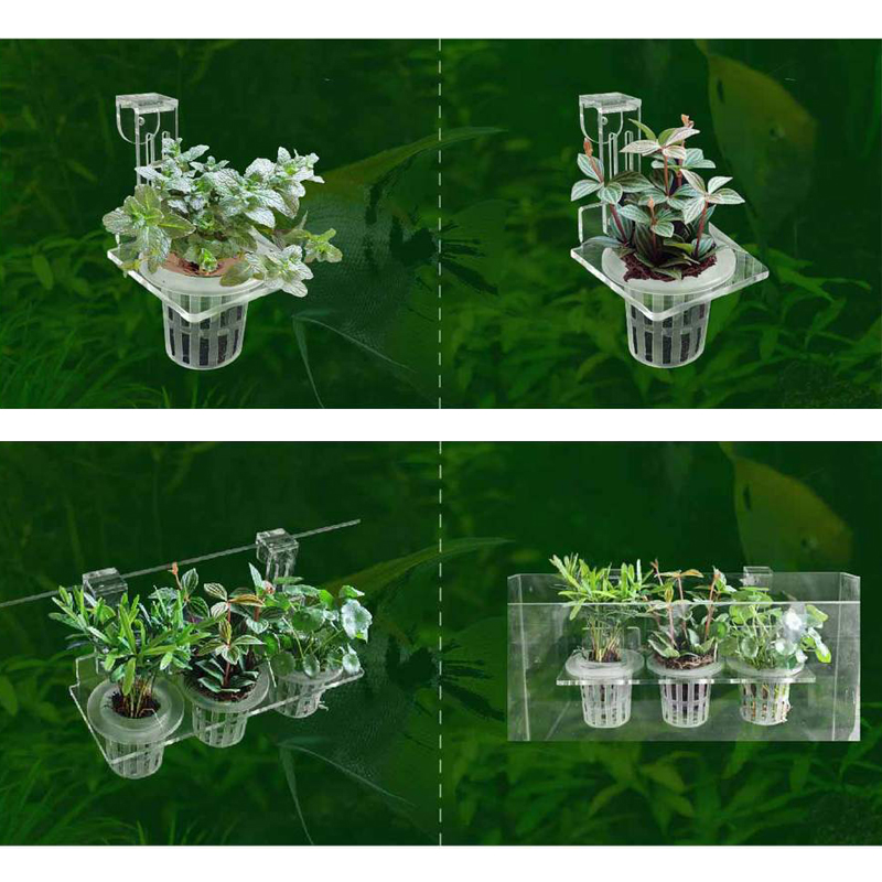 Fish Tank Planting Cups Hydrop - Aquarium Plant Growth avis et prix