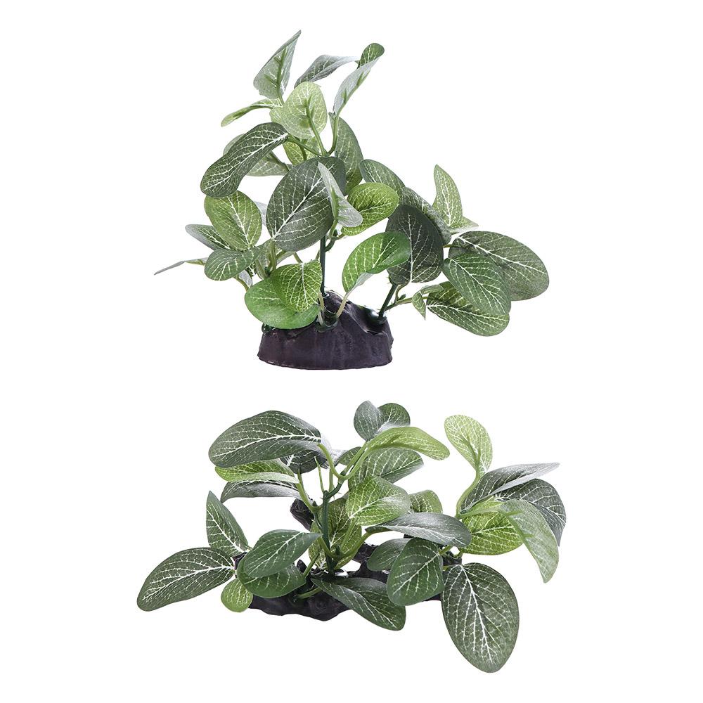 Creative Silk Green Simulated  - Planted Aquarium Jar avis et prix