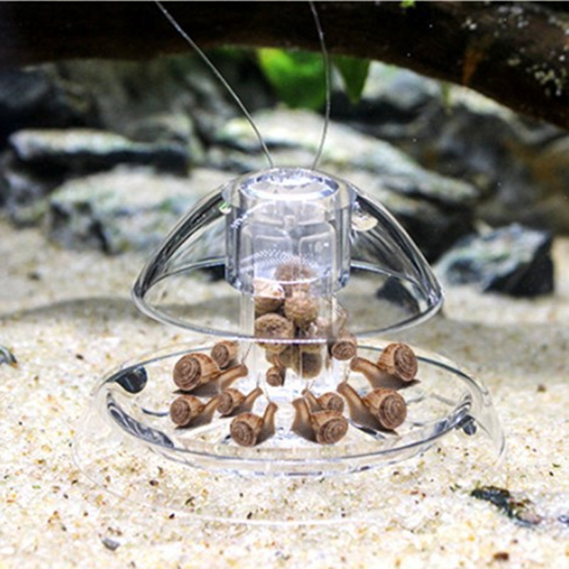 1PCS Fish Tank Aquarium Cleane - Planted Aquarium Tools avis et prix