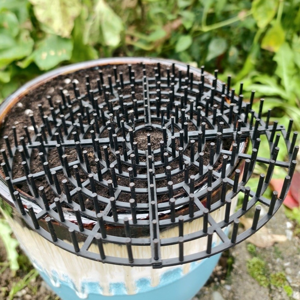 Breathable Mesh Plant Pot Soil - Tissue Culture Plant avis et prix