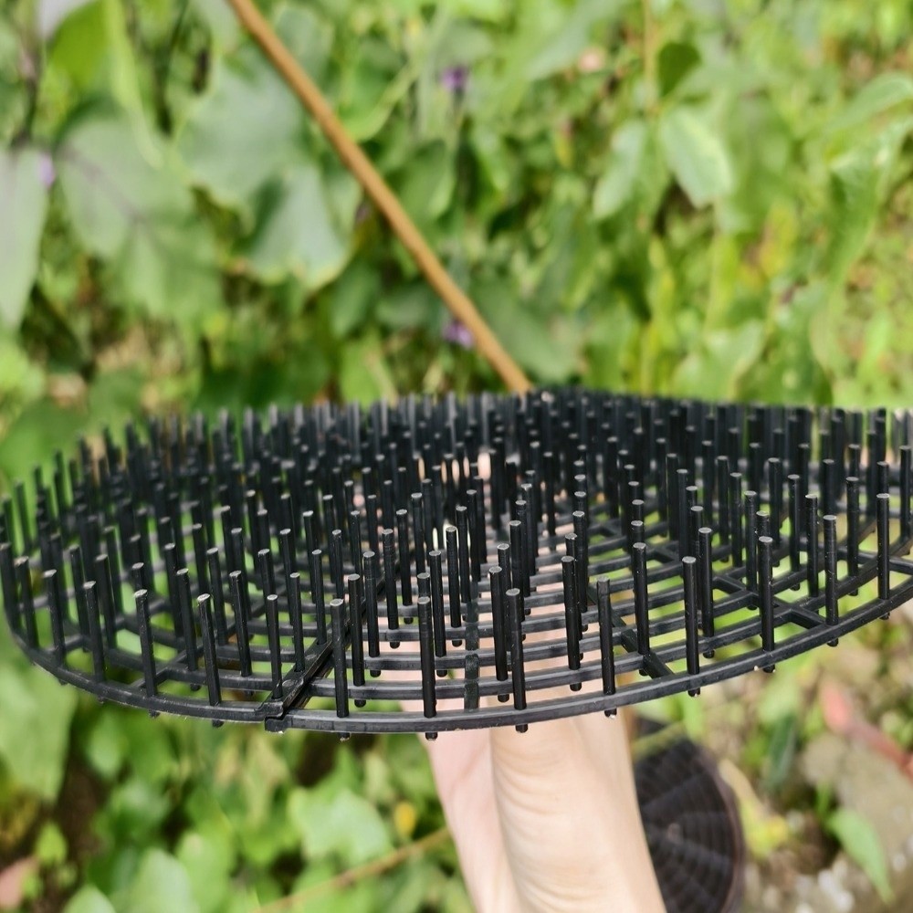 Breathable Mesh Plant Pot Soil - Tissue Culture Plant avis et prix