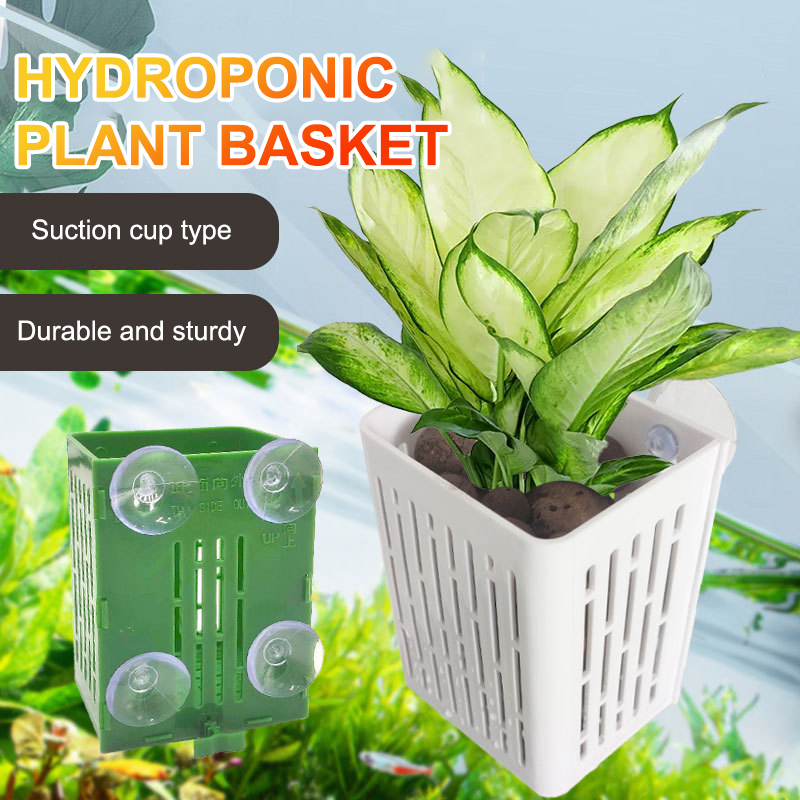 Hanging Suction Cup Hook Aquar - Aquarium Plant Growth avis et prix