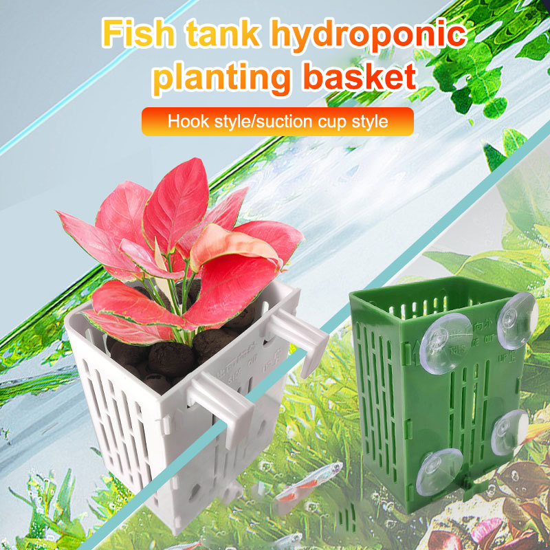 Hanging Suction Cup Hook Aquar - Aquarium Plant Growth avis et prix