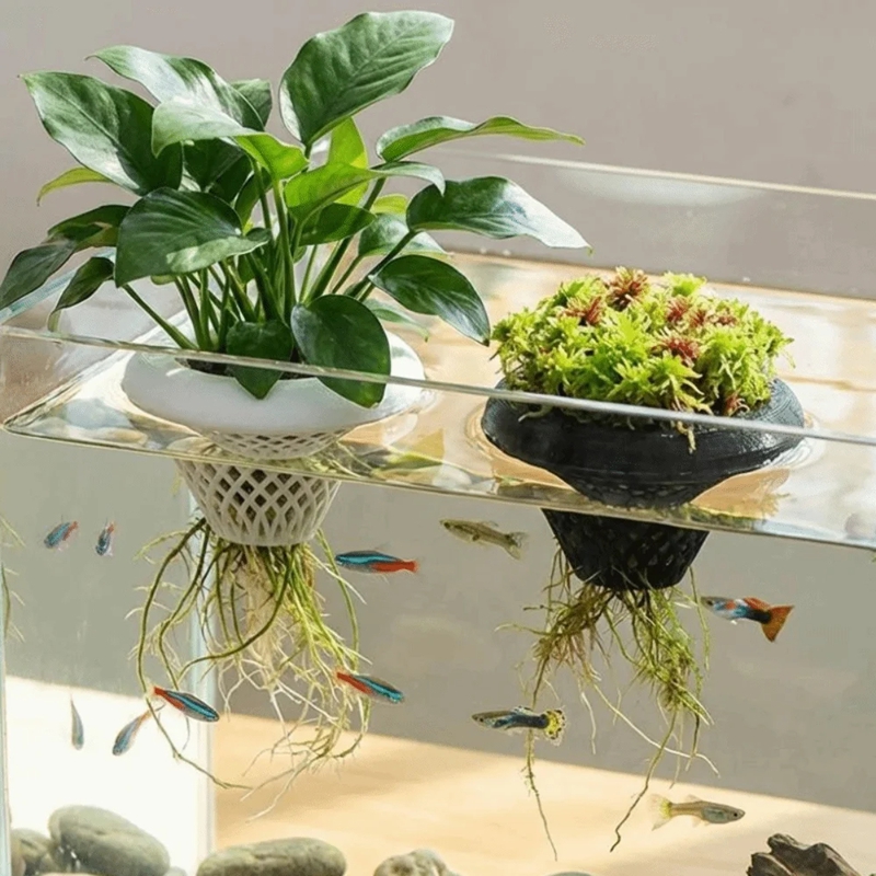 Floating Aquarium Plant Pot, 3 - Planted Aquarium Jar avis et prix
