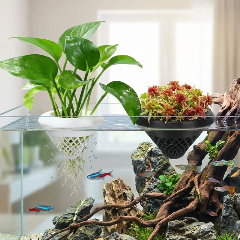 Floating Aquarium Plant Pot, 3 - Planted Aquarium Jar avis et prix