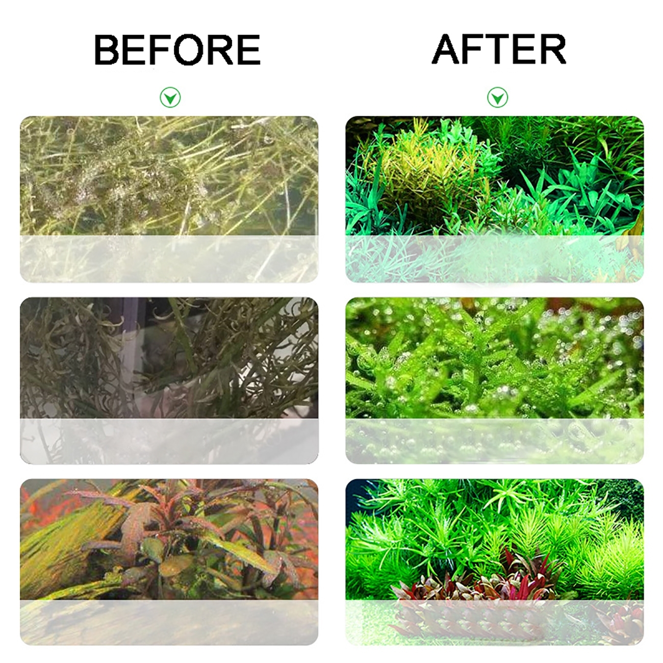 Aquarium CO2 Generator system  - Planted Aquarium Co2 System avis et prix