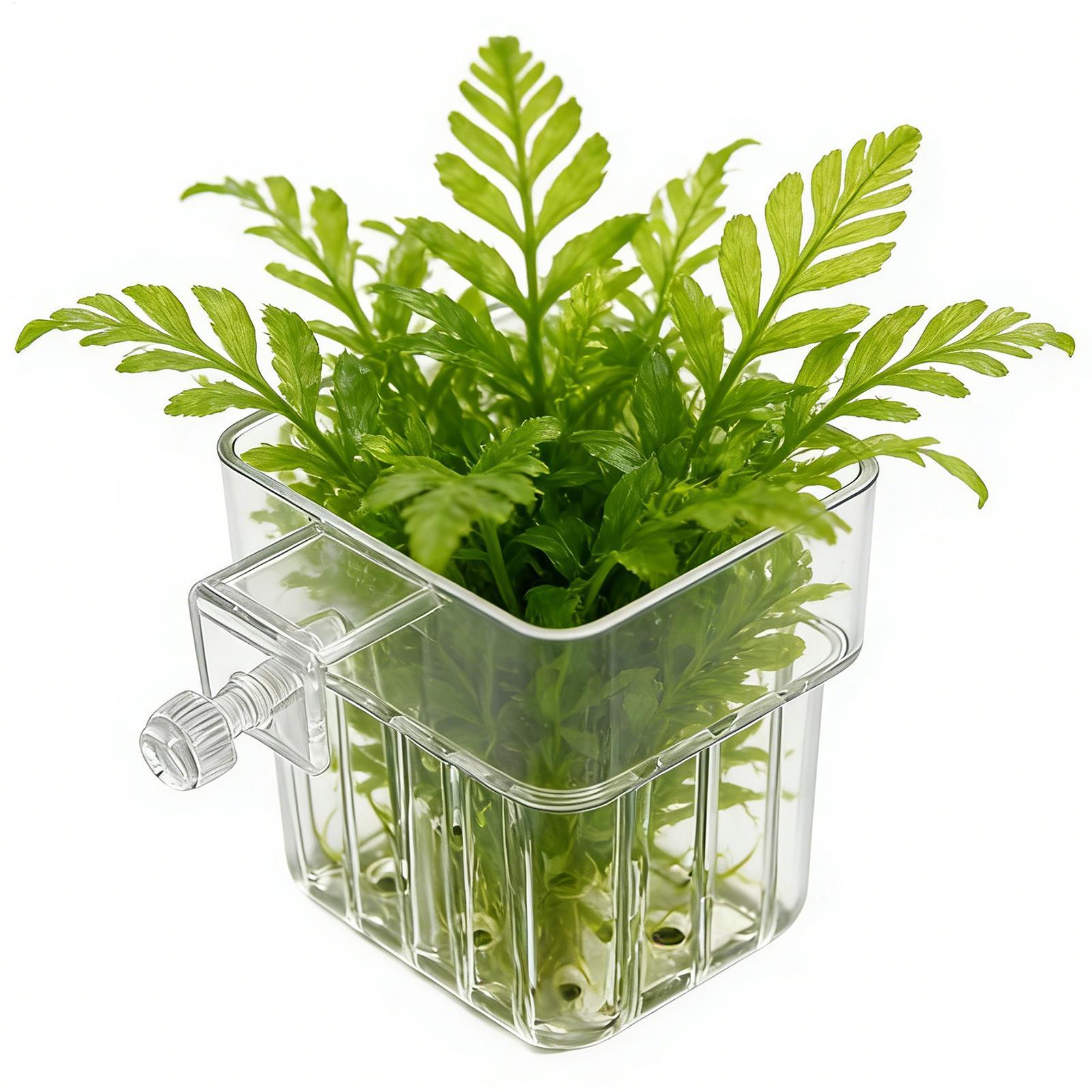 1pcs Plant Holder For Fish Tan - Aquarium Plant Growth avis et prix