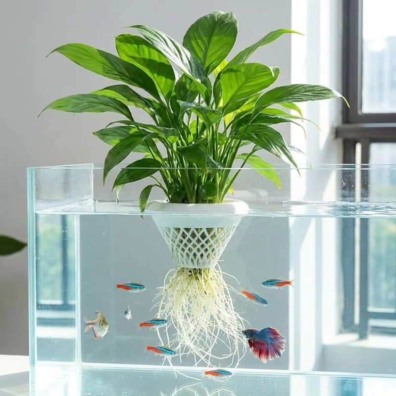Floating Aquarium Plant Pot, 3 - Planted Aquarium Jar avis et prix