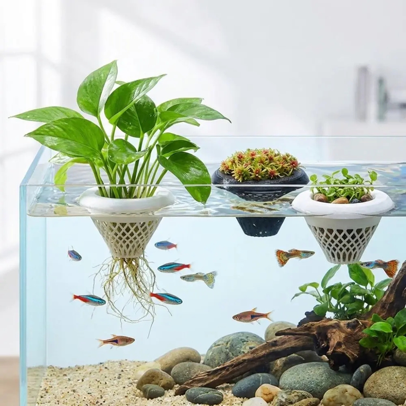 Floating Aquarium Plant Pot, 3 - Planted Aquarium Jar avis et prix