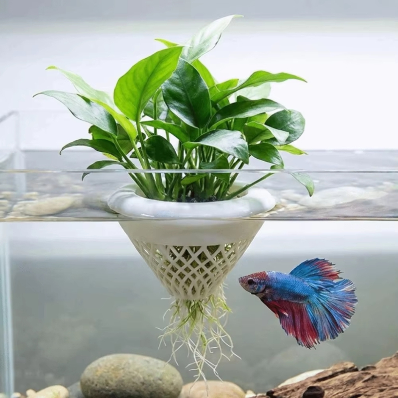 Floating Aquarium Plant Pot, 3 - Planted Aquarium Jar avis et prix
