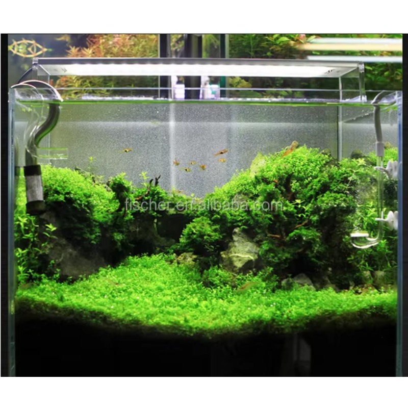 A801 Professional LED Aquarium - Planted Aquarium Jar avis et prix