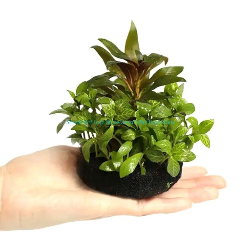 E1PB Nutrient Rich Resin Subst - Aquarium Plant Growth avis et prix