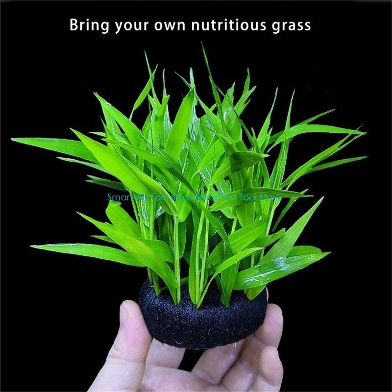 E1PB Nutrient Rich Resin Subst - Aquarium Plant Growth avis et prix