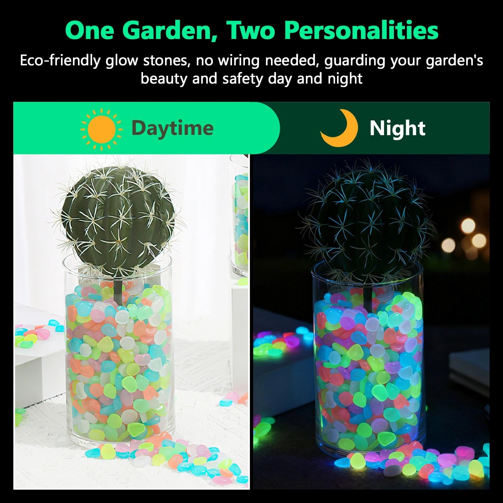 Potted Plants Glow In The Dark - Aquarium Plant Growth avis et prix