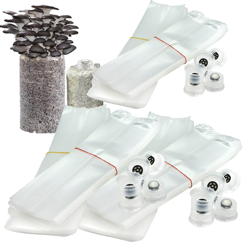 50/100PCS Mushroom Spawn Grow  - Tissue Culture Plant avis et prix