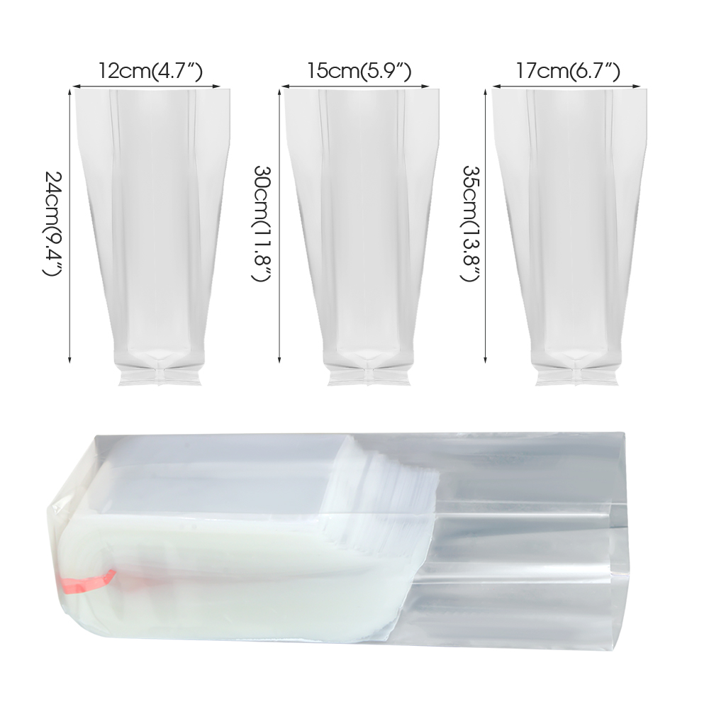50/100PCS Mushroom Spawn Grow  - Tissue Culture Plant avis et prix