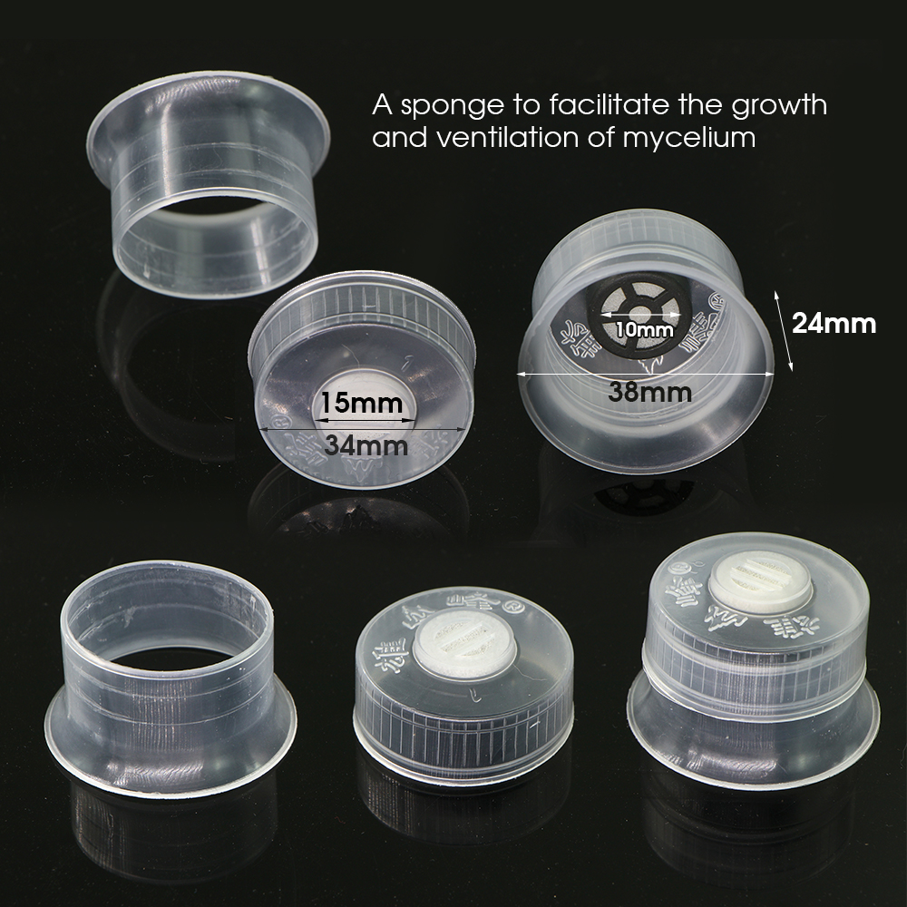 50/100PCS Mushroom Spawn Grow  - Tissue Culture Plant avis et prix