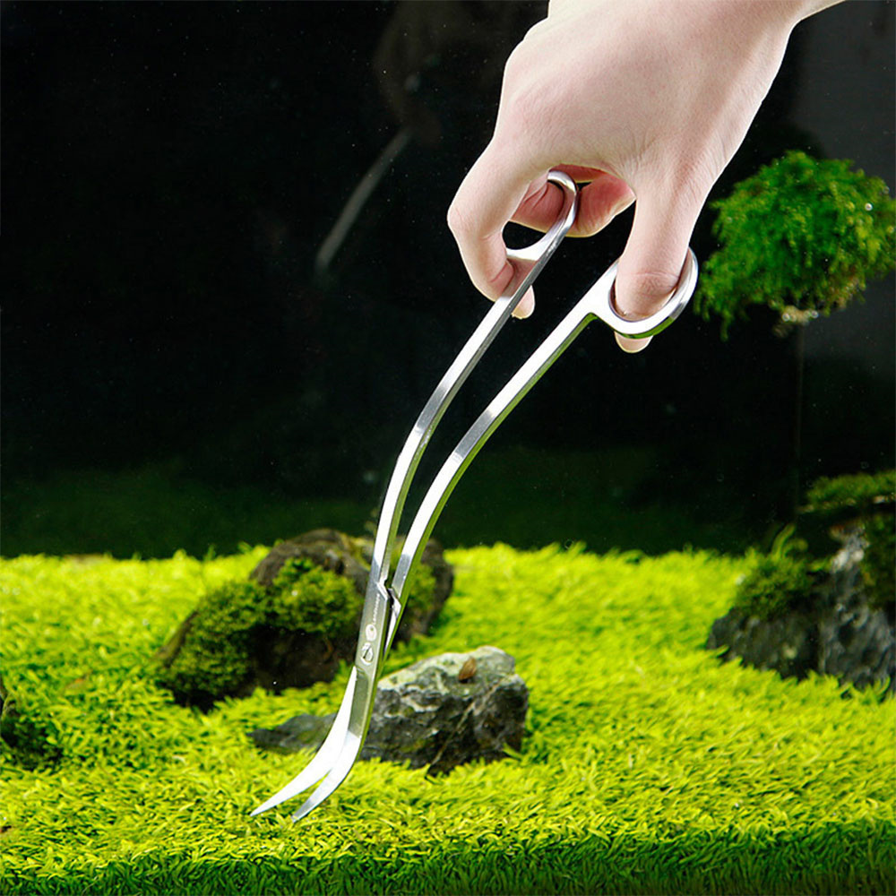 Aquarium Accessories Hard Stai - Planted Aquarium Tools avis et prix