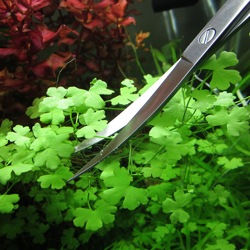 Aquarium Accessories Hard Stai - Planted Aquarium Tools avis et prix