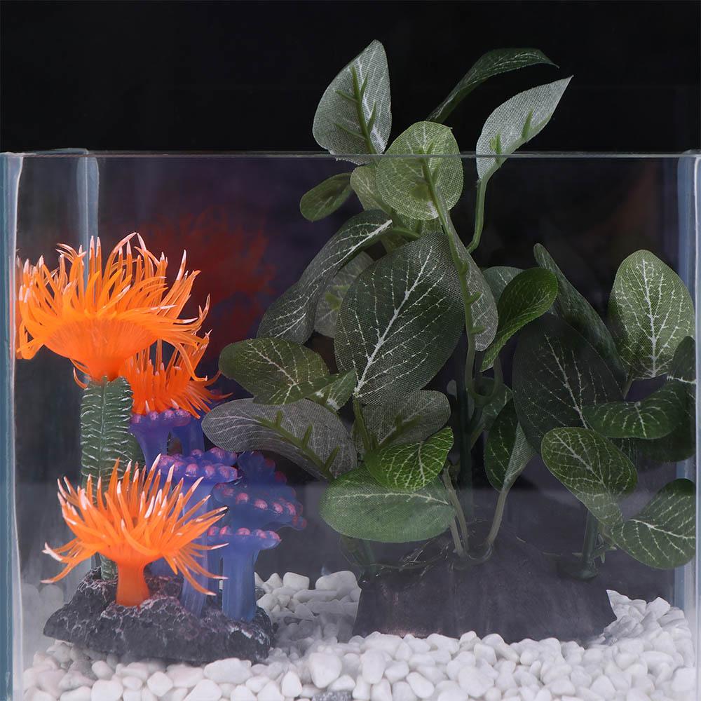 Plastic Creative Simulated Gre - Planted Aquarium Jar avis et prix
