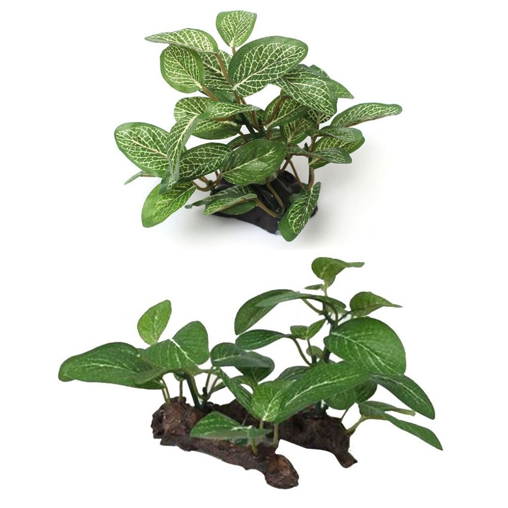 Decorative Plastic Faux Simula - Planted Aquarium Jar avis et prix