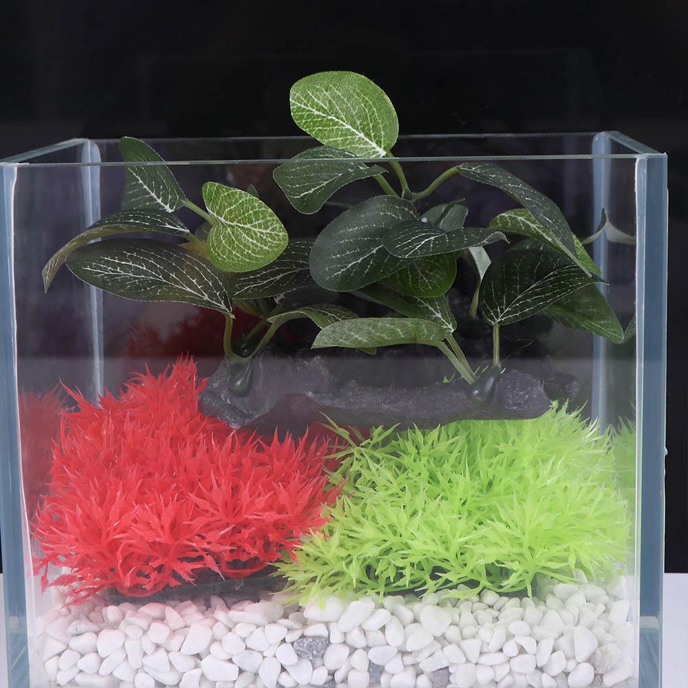 Decorative Plastic Faux Simula - Planted Aquarium Jar avis et prix