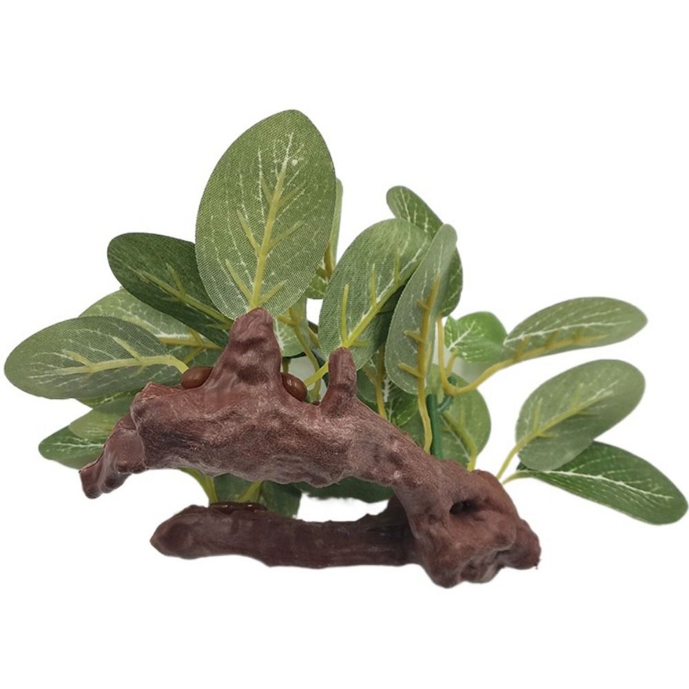 Decorative Plastic Faux Simula - Planted Aquarium Jar avis et prix