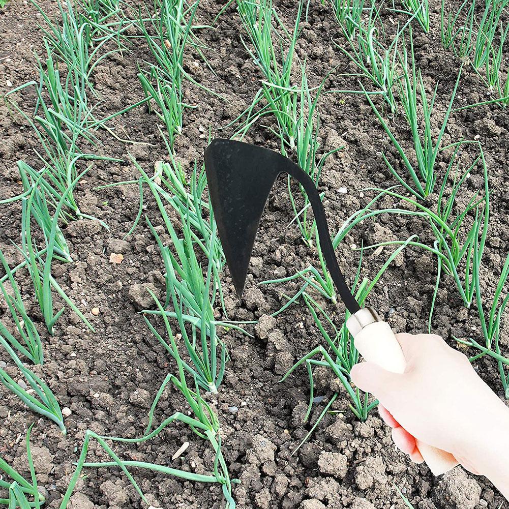 Farm Tools Hoes Triangle Furro - Tissue Culture Plant avis et prix