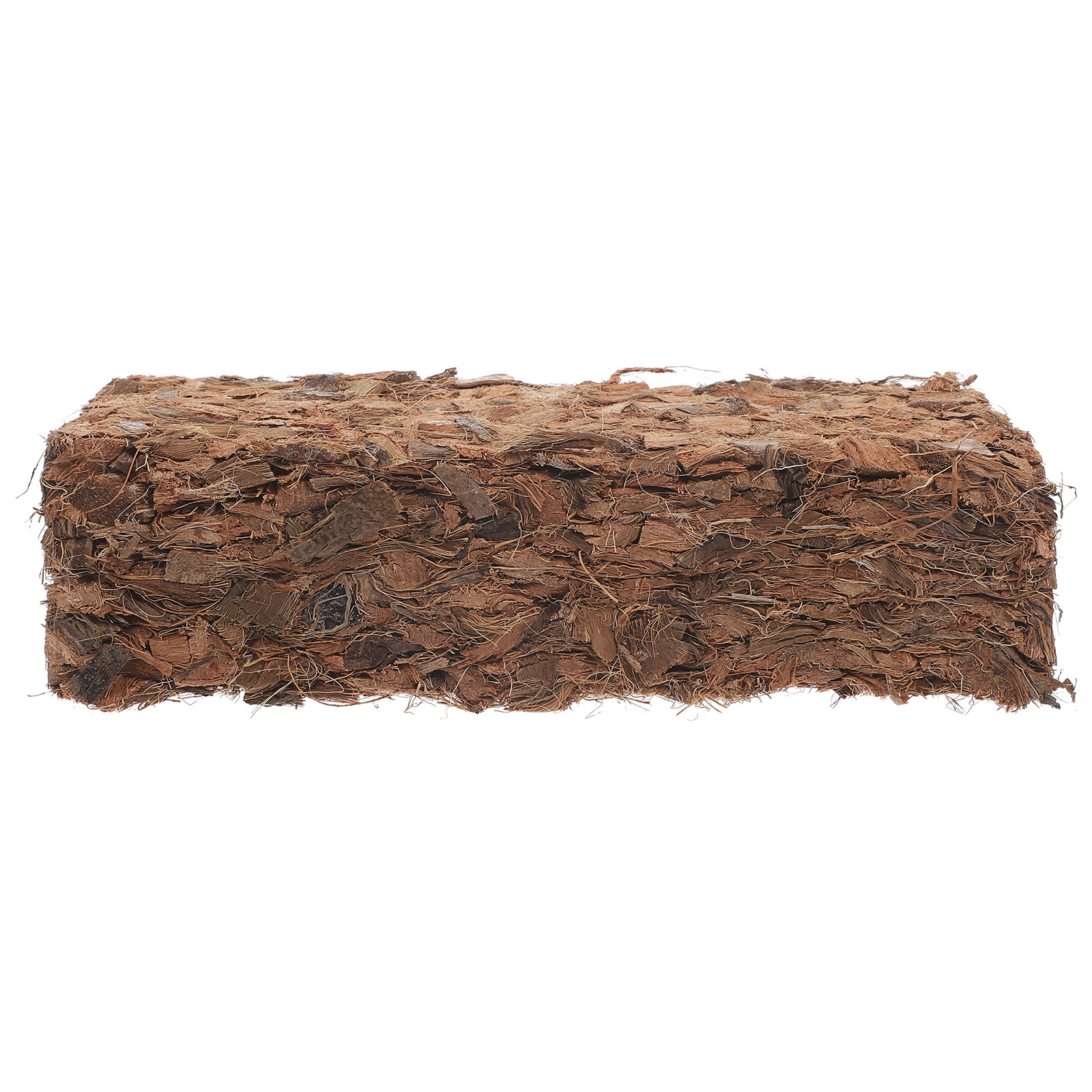 Plant Nursery Block Coconut Co - Tissue Culture Plant avis et prix