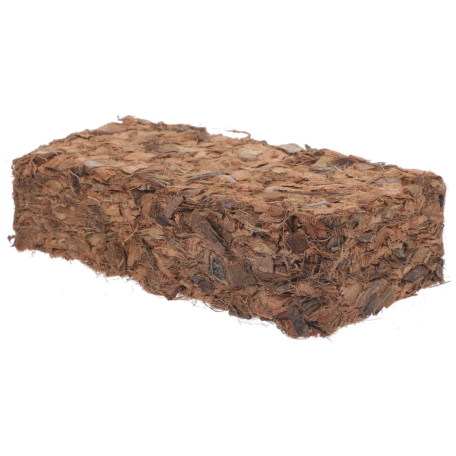 Plant Nursery Block Coconut Co - Tissue Culture Plant avis et prix