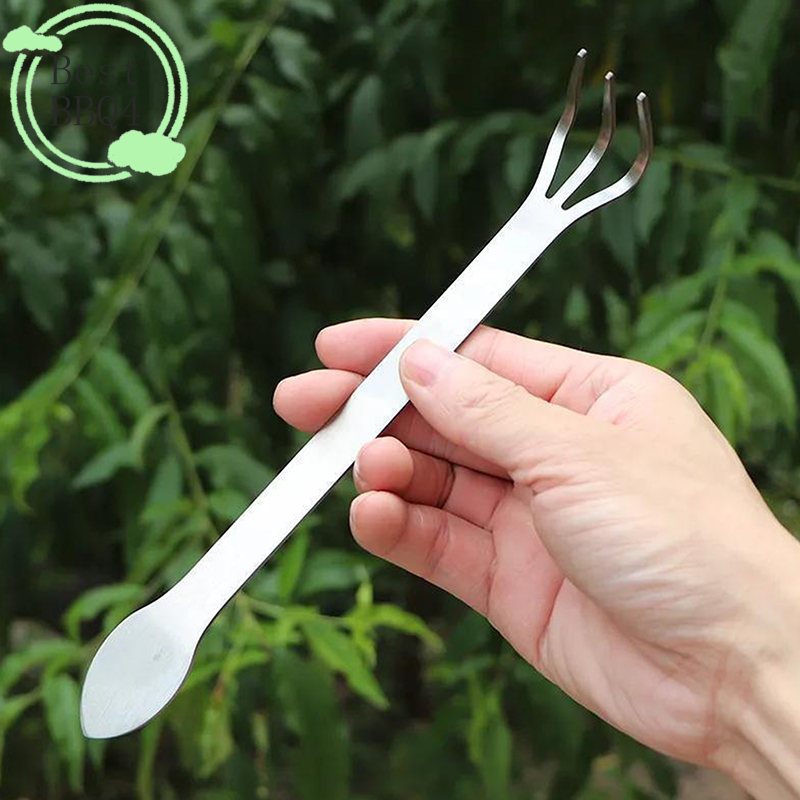 (BBQ4) 1Pc Stainless Steel Roo - Tissue Culture Plant avis et prix