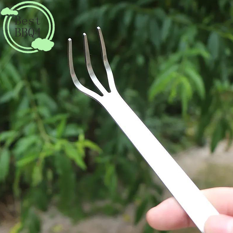 (BBQ4) 1Pc Stainless Steel Roo - Tissue Culture Plant avis et prix