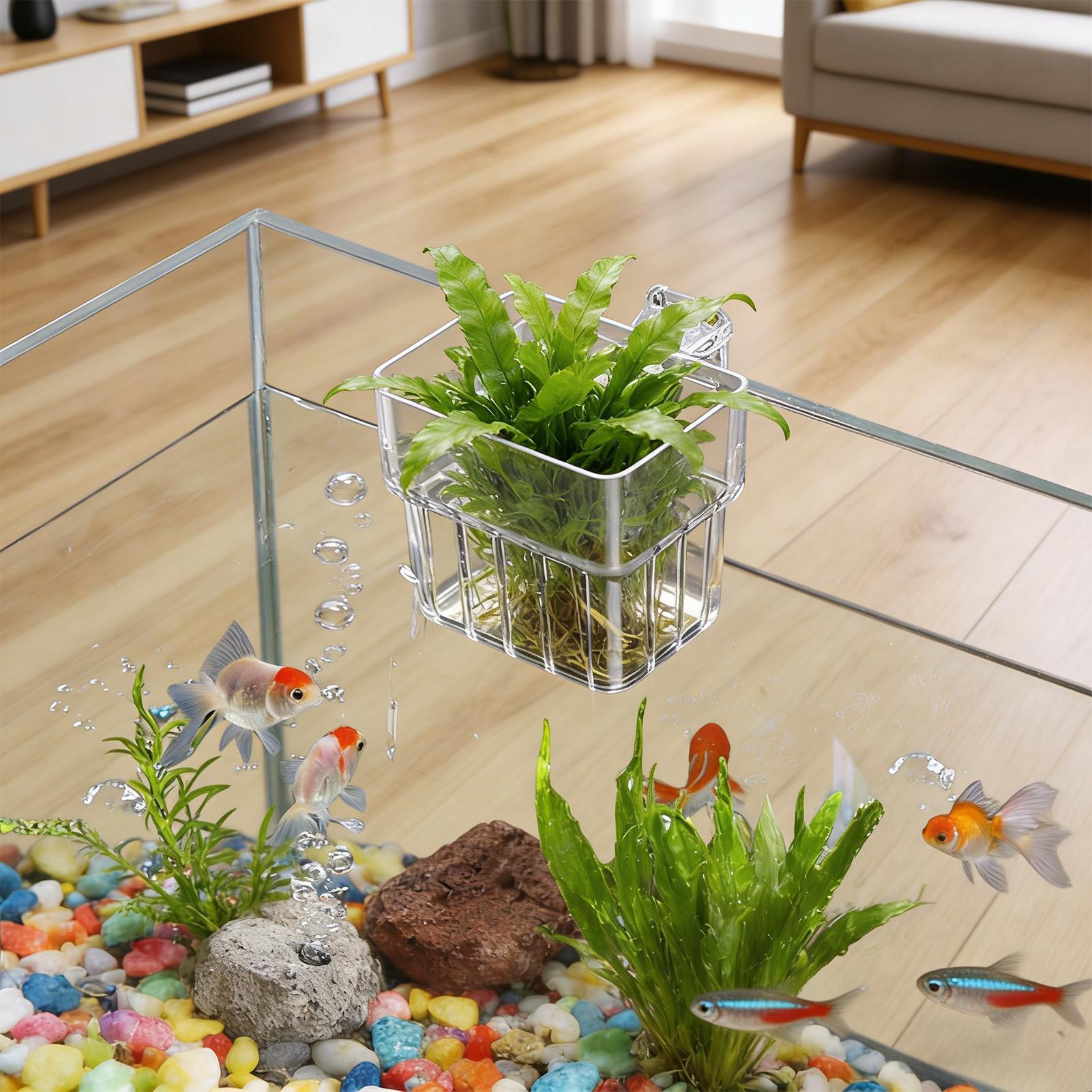 Transparent Hangable Aquarium  - Aquarium Plant Growth avis et prix