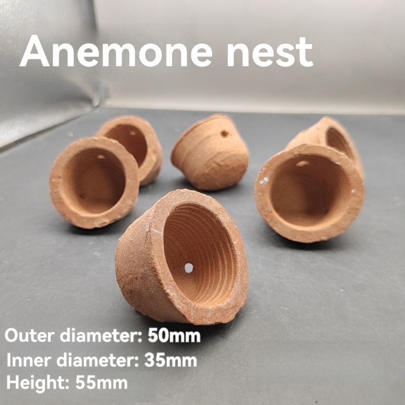 Anemone Nest Run-proof Coral J - Planted Aquarium Jar avis et prix