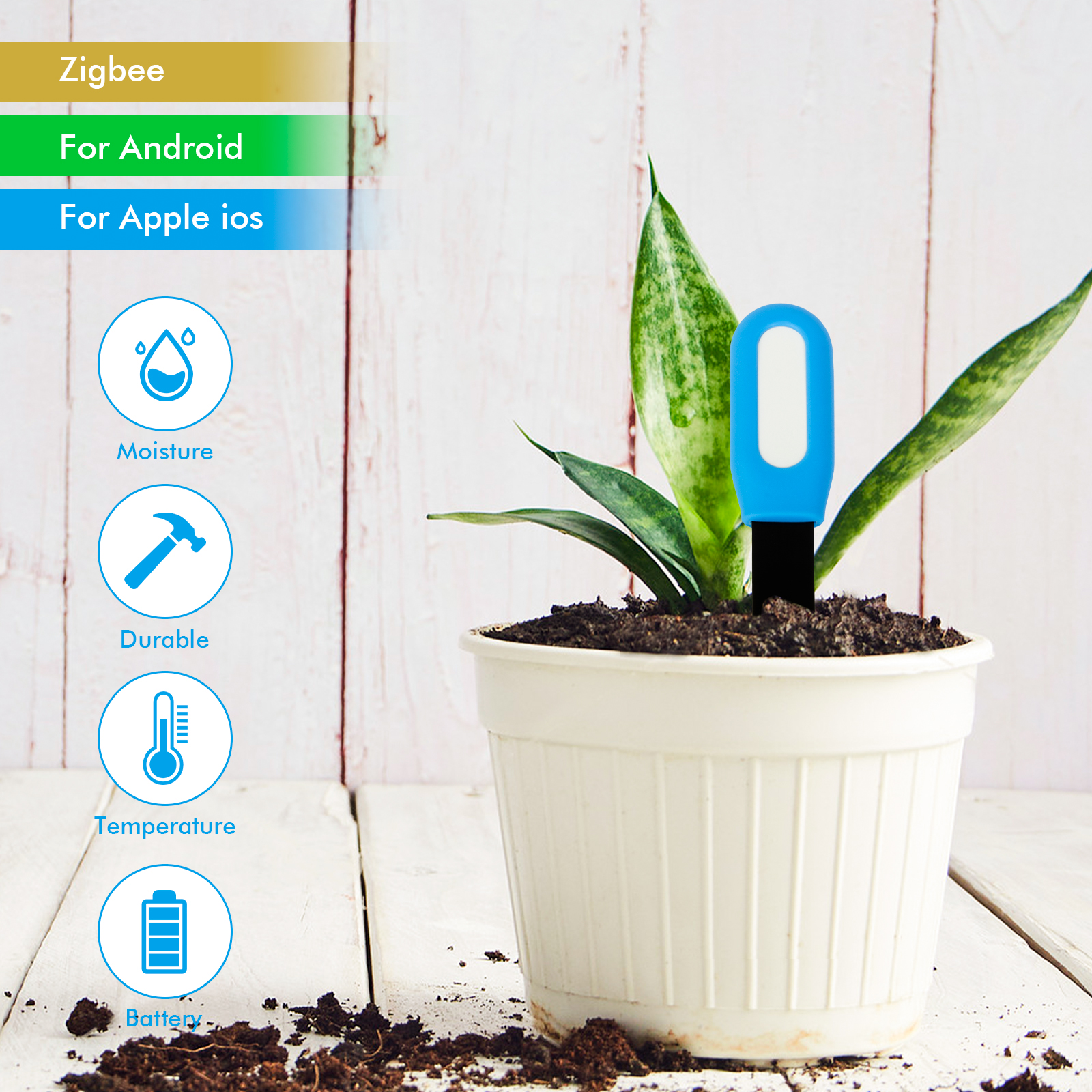 Zigbee Plant Acidity Humidity  - Tissue Culture Plant avis et prix
