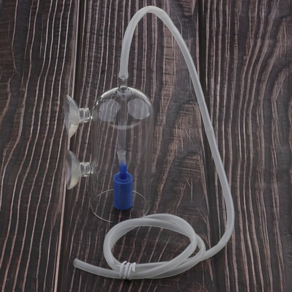 CO2 Diffuser System for Aquari - Planted Aquarium Co2 System avis et prix