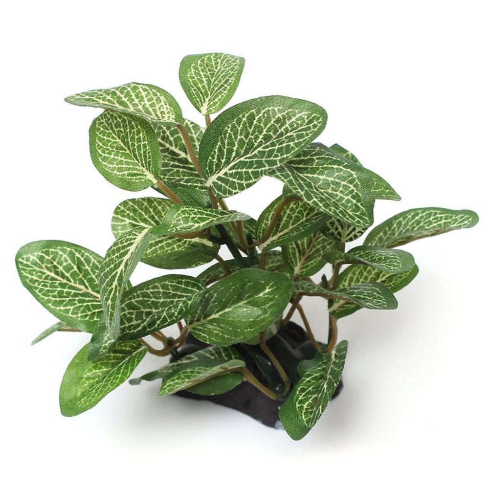 Plastic Lifelike Green for Fis - Planted Aquarium Jar avis et prix