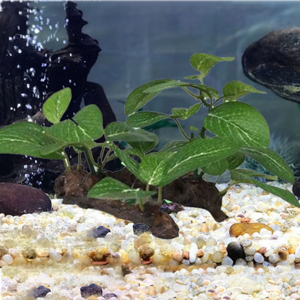Silk Plastic Green for Fish Ta - Planted Aquarium Jar avis et prix