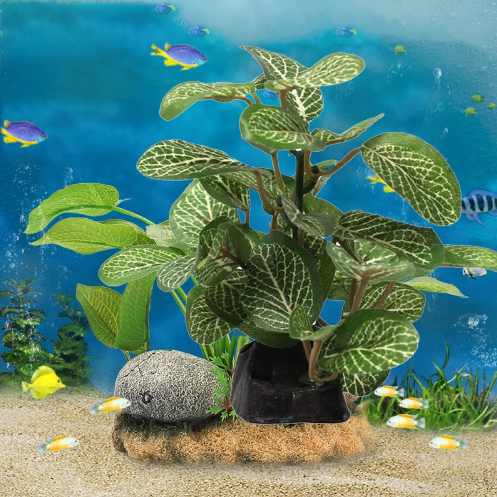 Silk Plastic Green for Fish Ta - Planted Aquarium Jar avis et prix