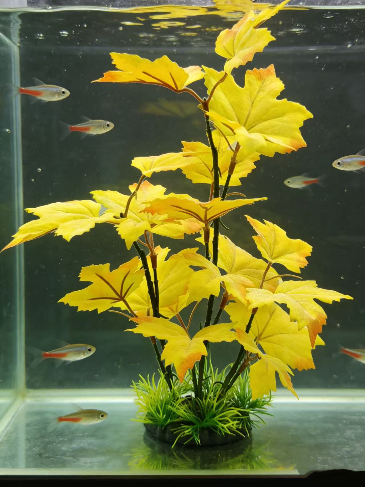 Artificial Aquarium Decor Plan - Aquarium Plant Yellowing avis et prix