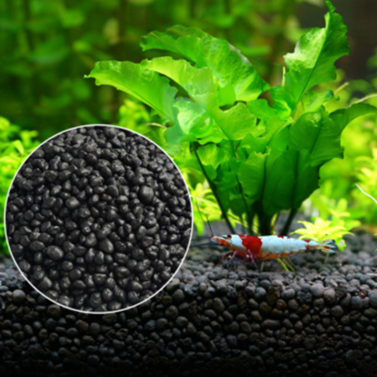 Aquarium Plant Seeds Soil Fish - Aquarium Plant Growth avis et prix